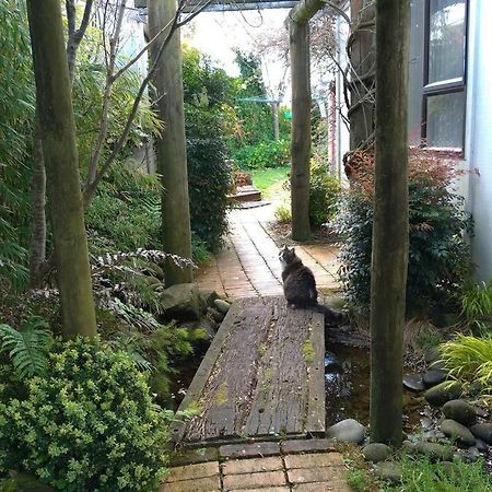 Secret Cottage Waitara ภายนอก รูปภาพ