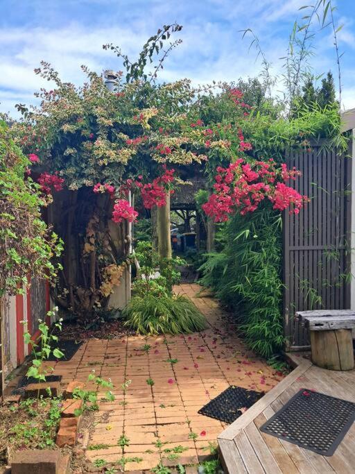 Secret Cottage Waitara ภายนอก รูปภาพ