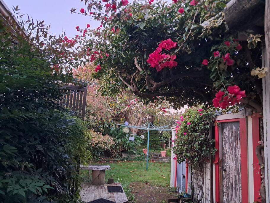 Secret Cottage Waitara ภายนอก รูปภาพ