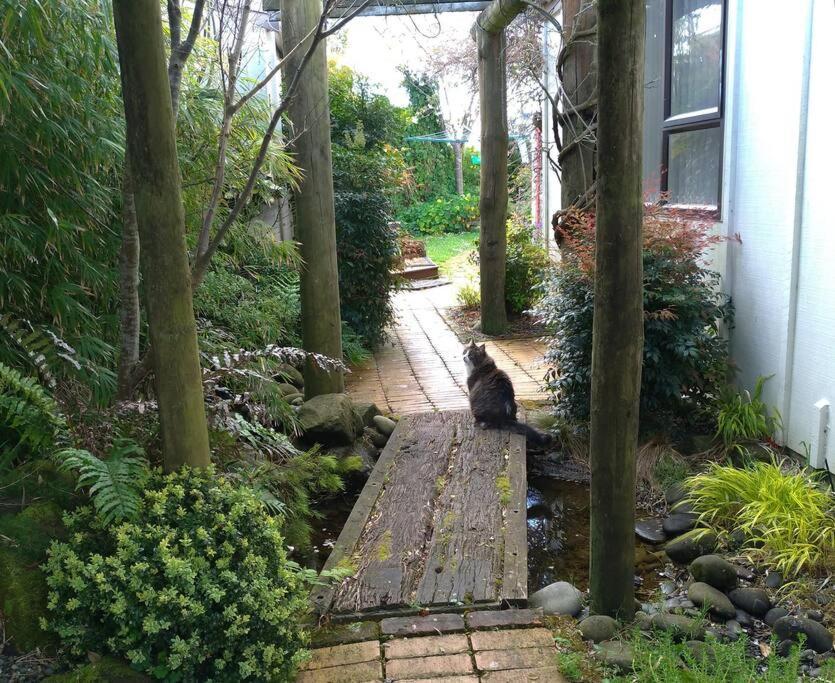Secret Cottage Waitara ภายนอก รูปภาพ