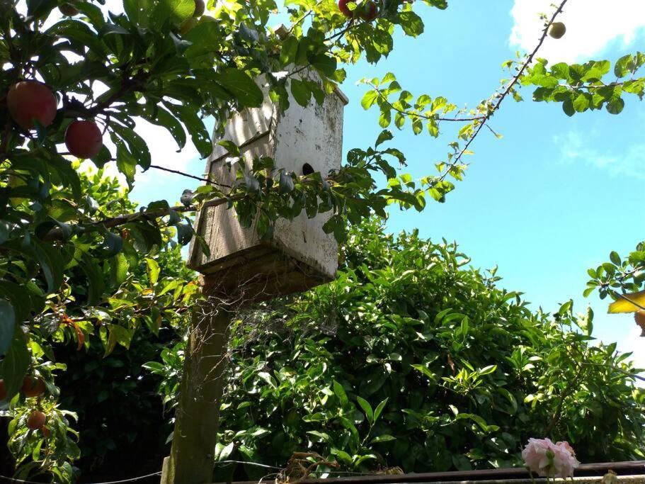 Secret Cottage Waitara ภายนอก รูปภาพ